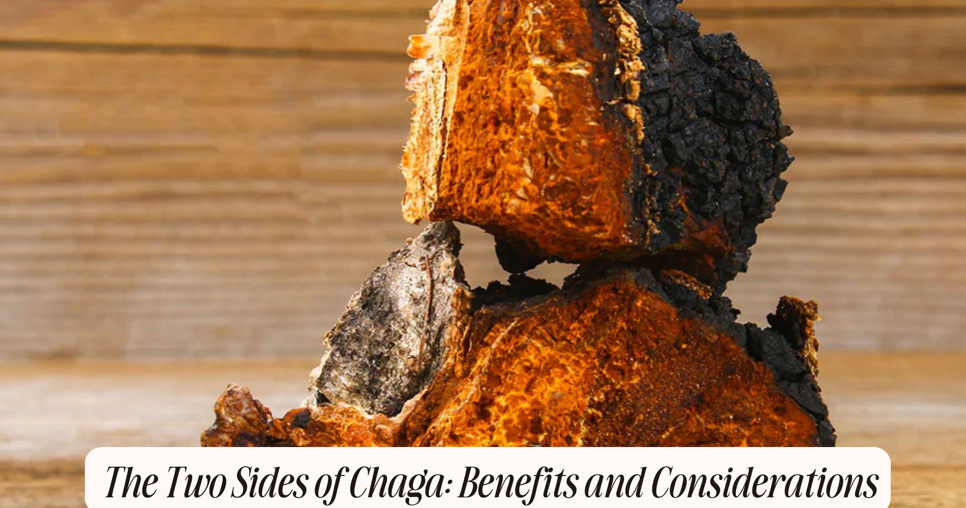 the two sides of chaga