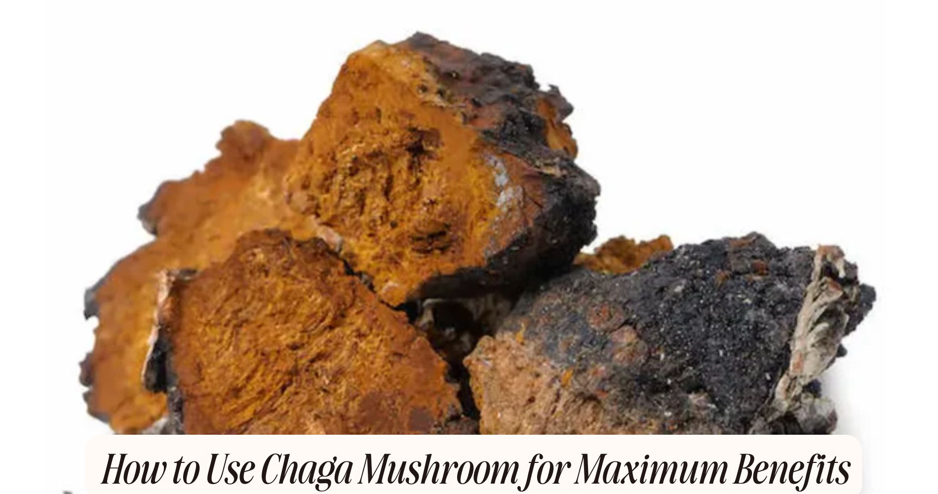how to use chaga mushroom