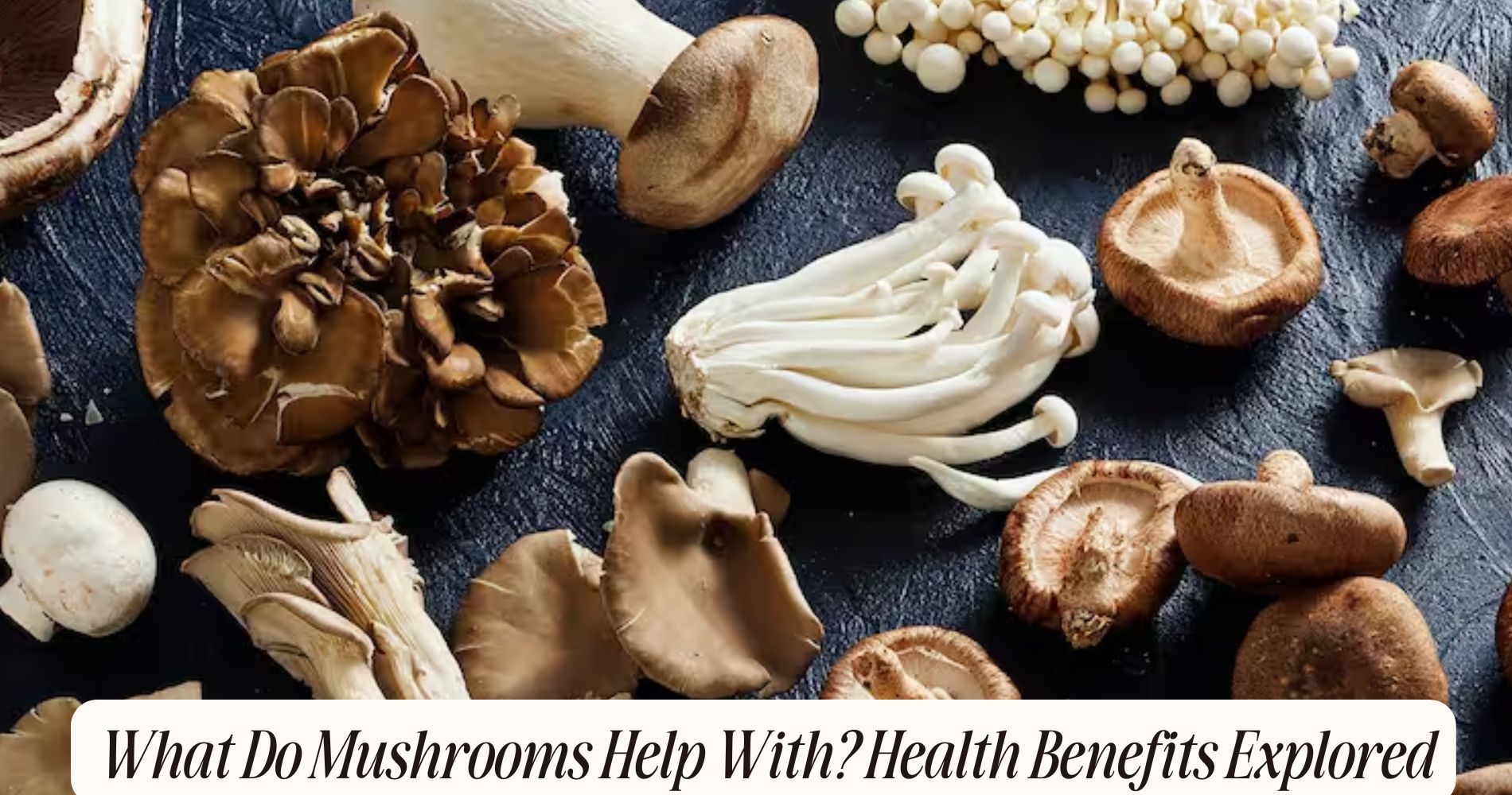 what do mushrooms help with