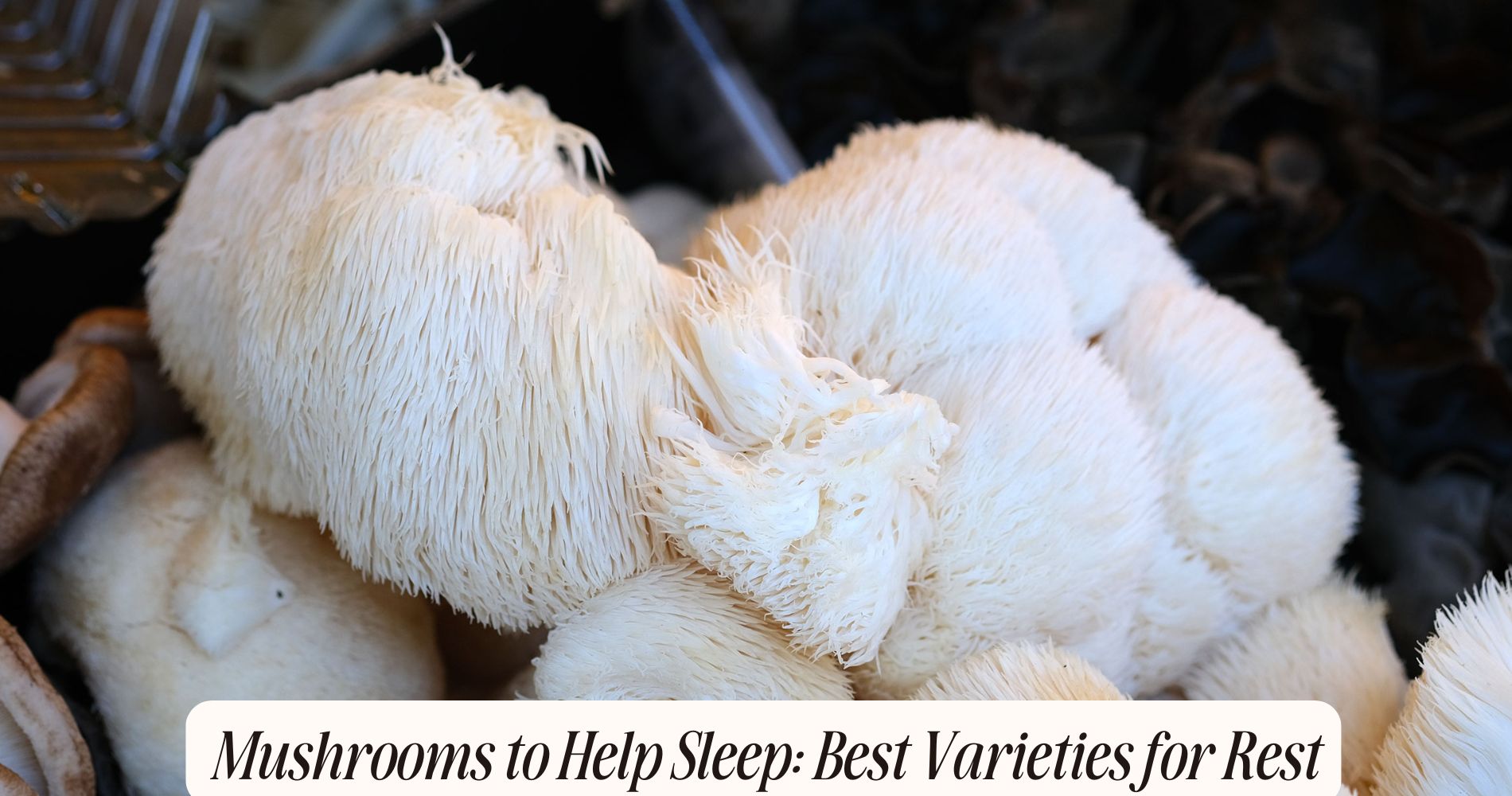 mushrooms to help sleep