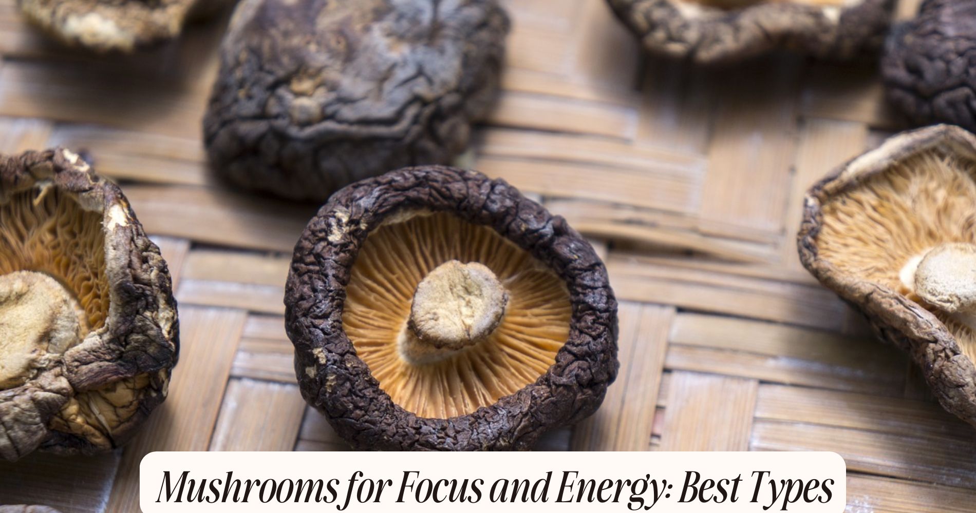 mushrooms for focus and energy