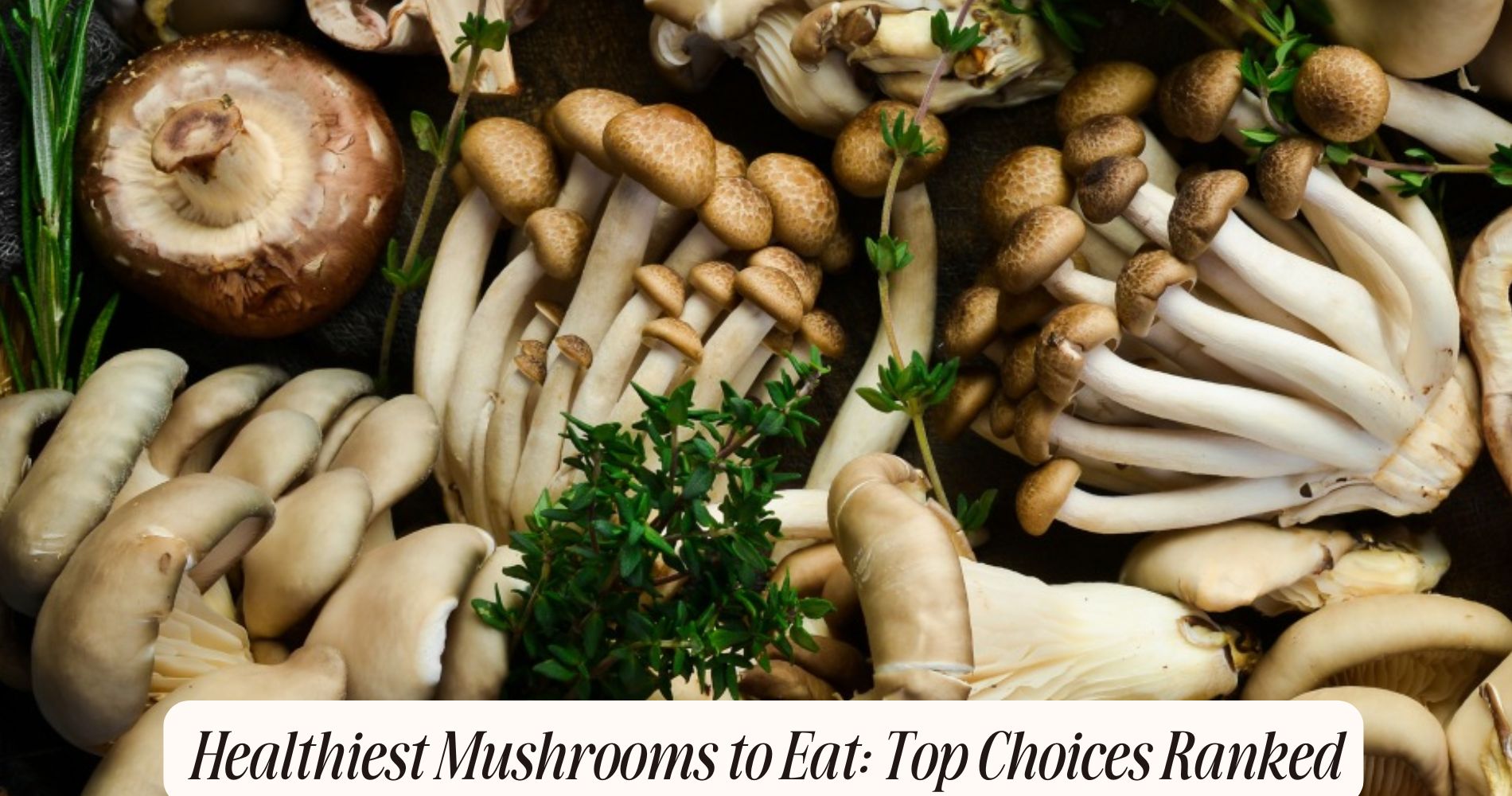 healthiest mushrooms to eat