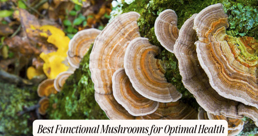 best functional mushrooms