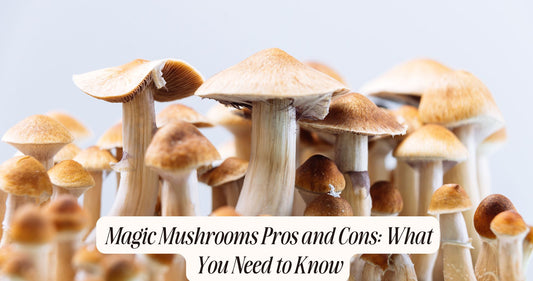 magic mushrooms pros and cons