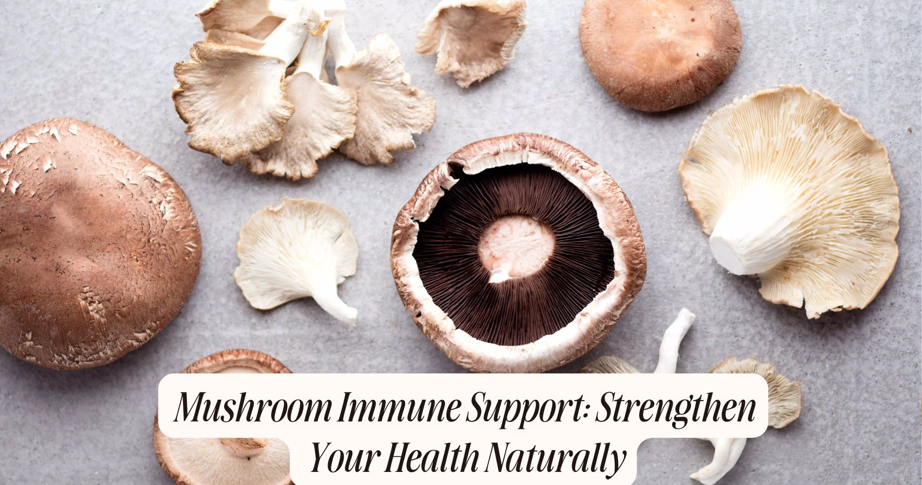 mushroom immune support