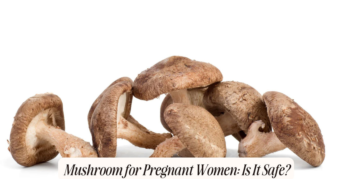 mushroom for pregnant women