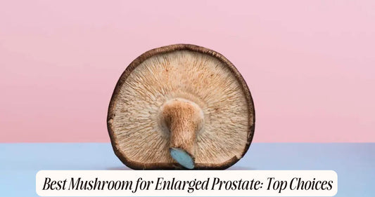 best mushroom for enlarged prostate