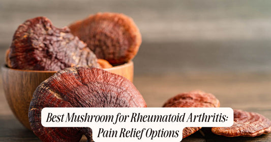 best mushroom for rheumatoid arthritis