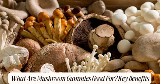 what are mushroom gummies good for