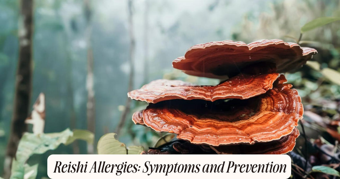 reishi allergies