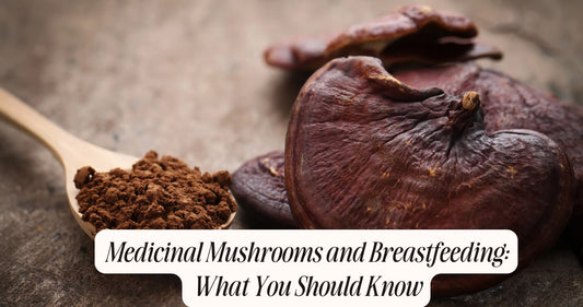 medicinal mushrooms and breastfeeding