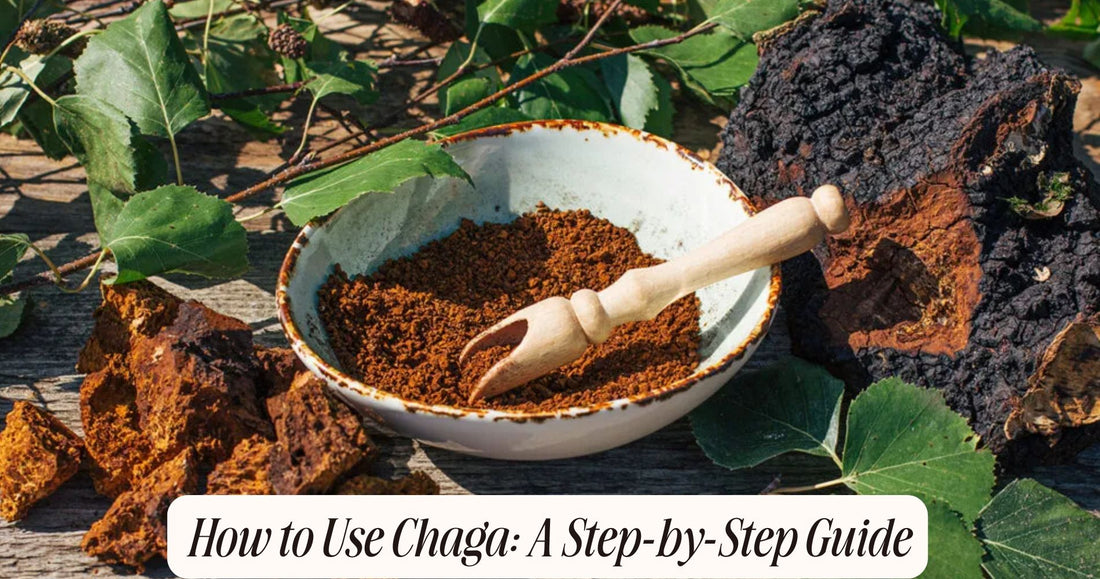 how to use chaga