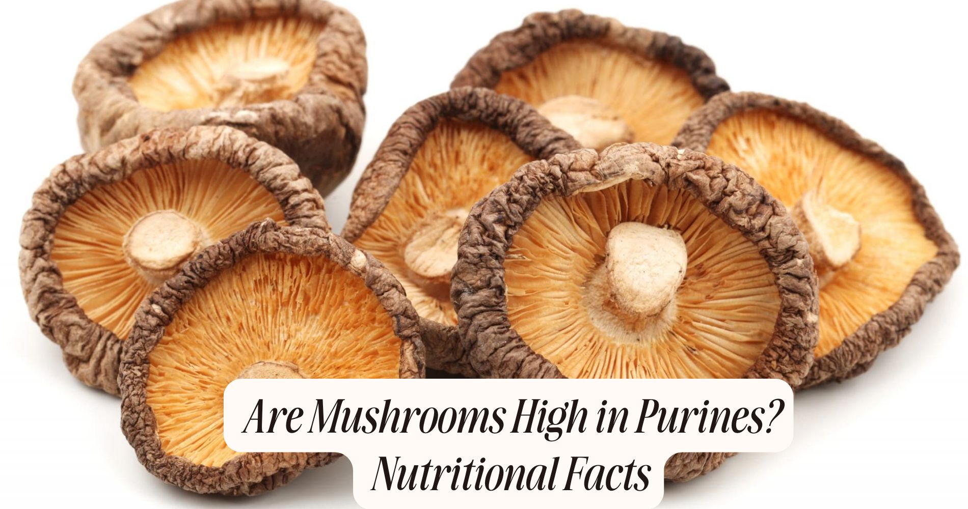 are mushrooms high in purines