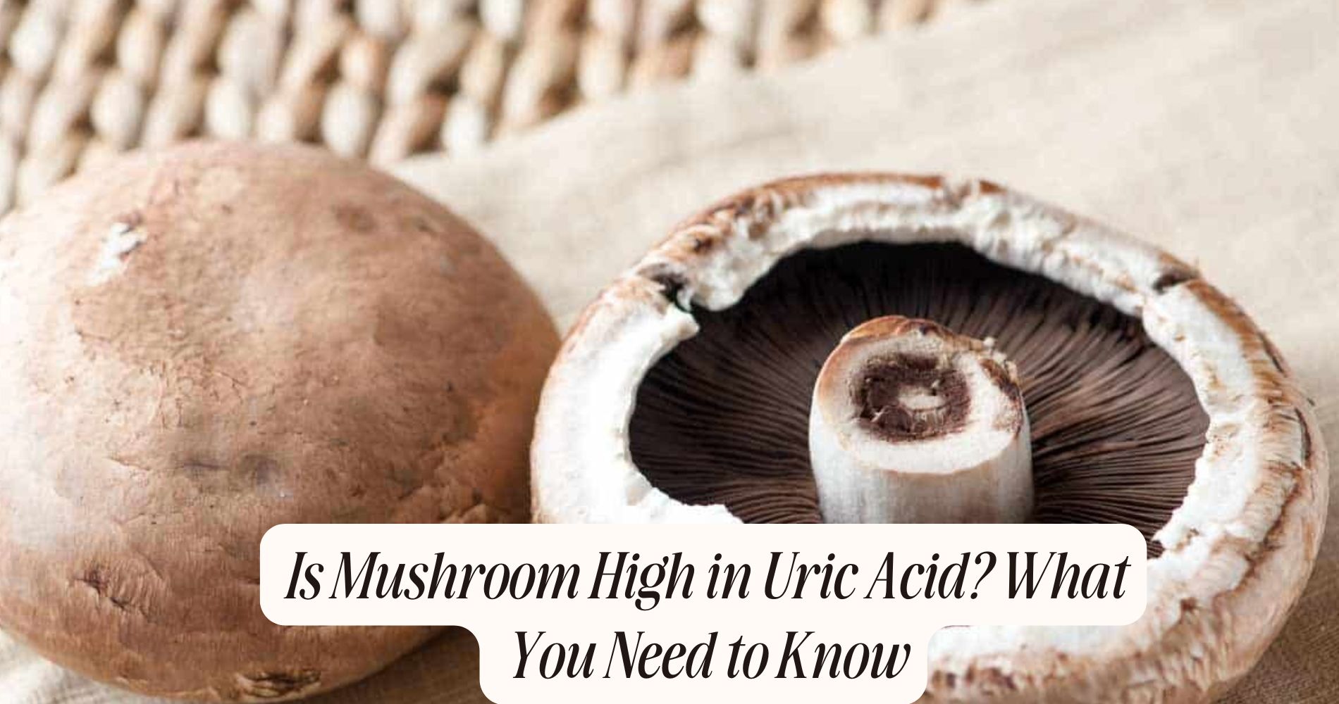 is mushroom high in uric acid