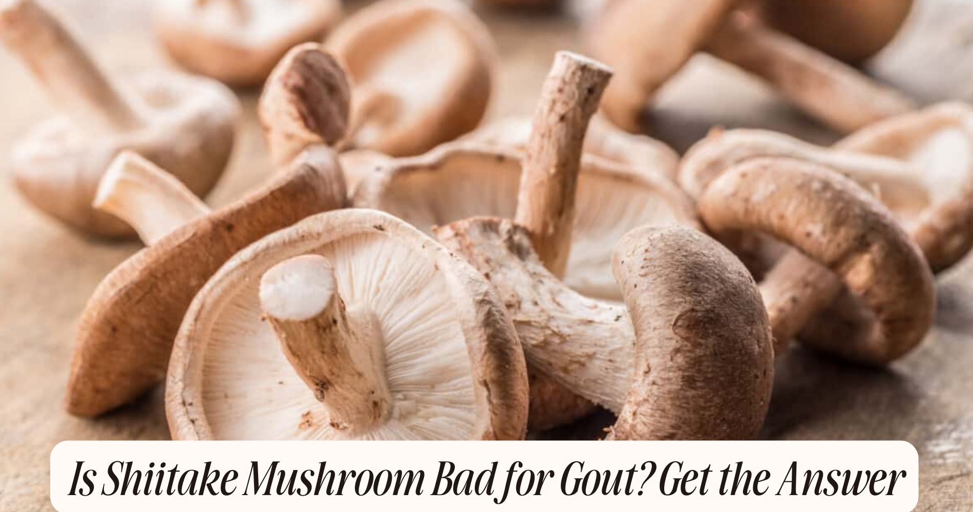is shiitake mushroom bad for gout