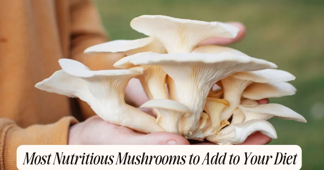 most nutritious mushrooms