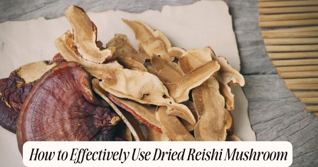 how to use dried reishi mushroom