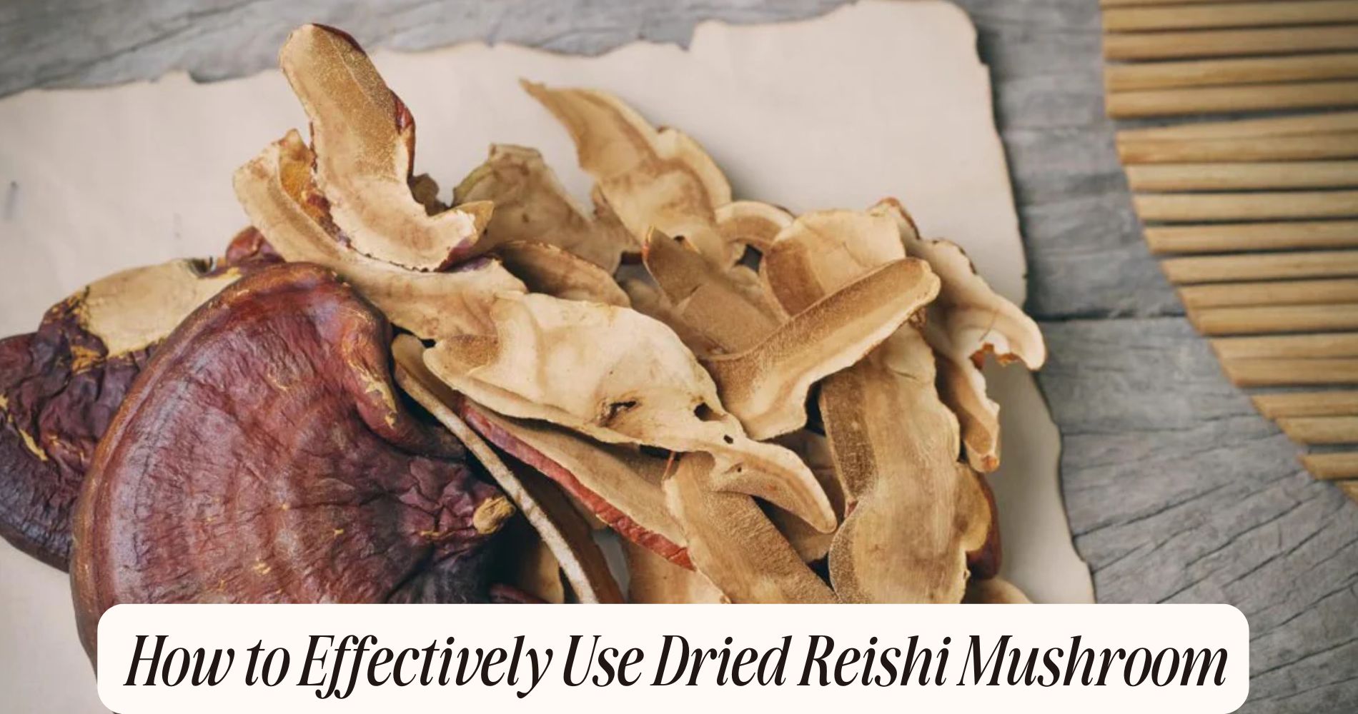 how to use dried reishi mushroom