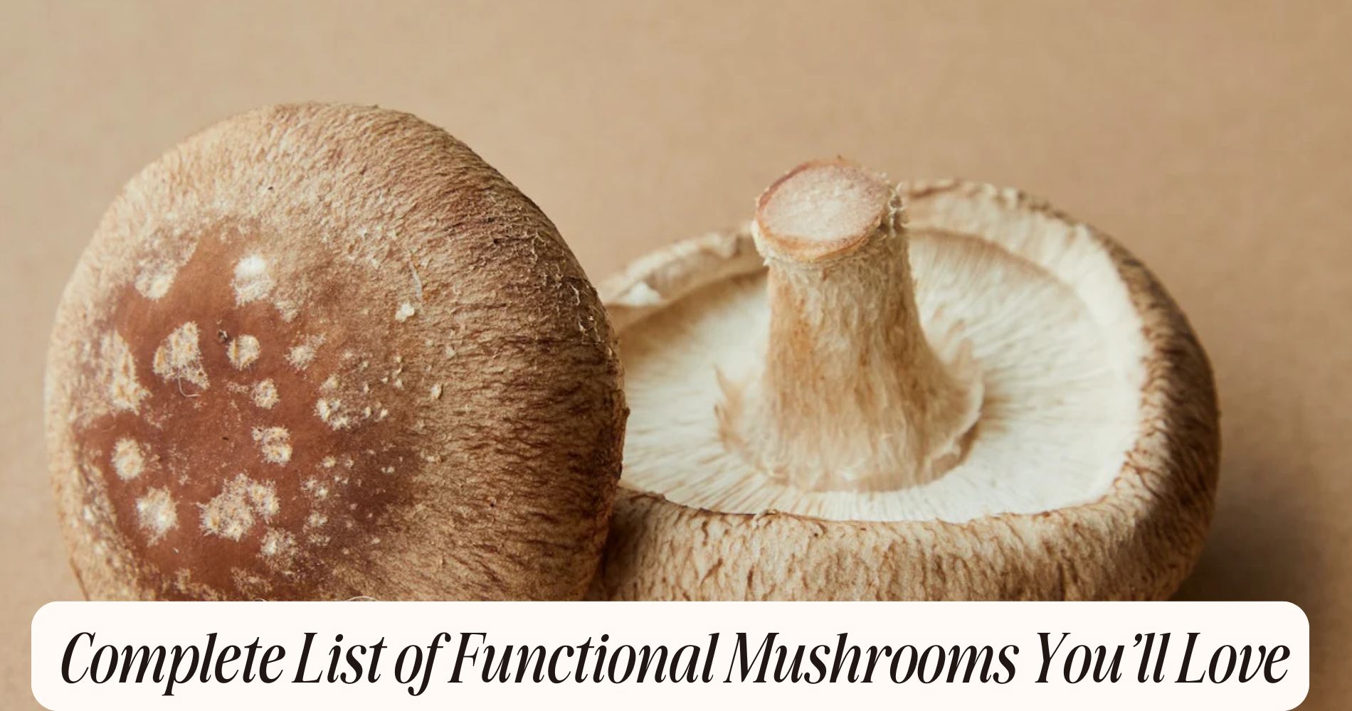 list of functional mushrooms