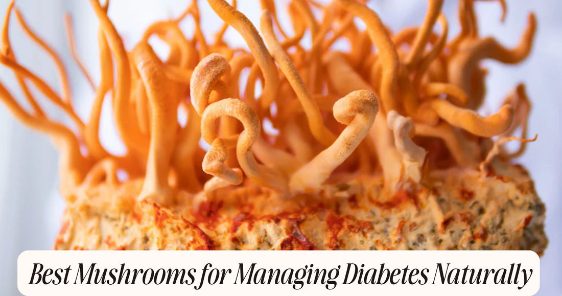 best mushrooms for diabetes