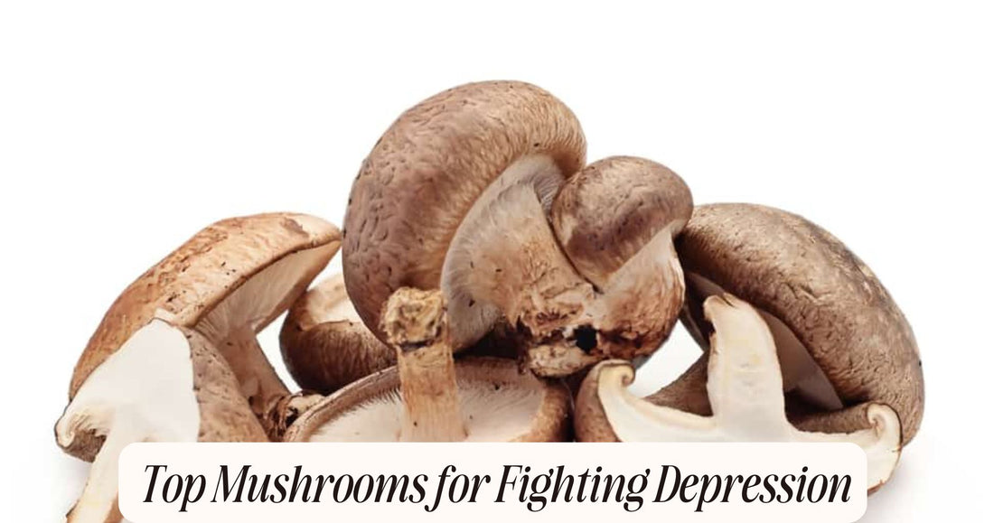 best mushrooms for depression