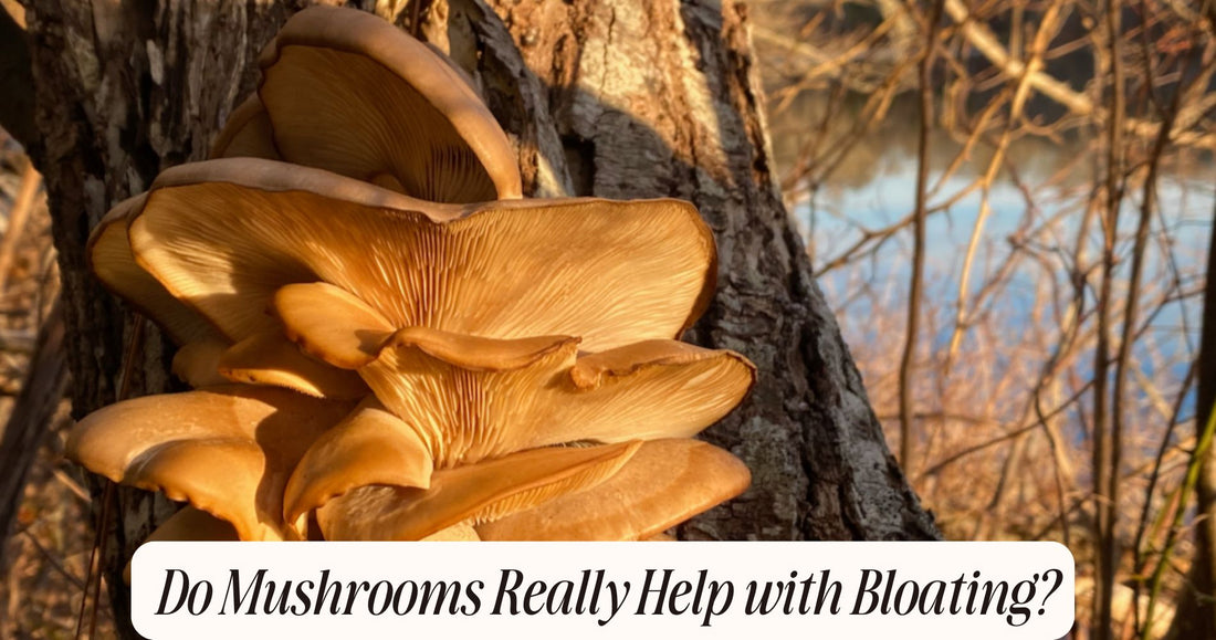 do mushrooms help with bloating