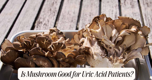 is mushroom good for uric acid patient