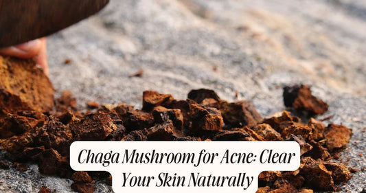 chaga mushroom for acne