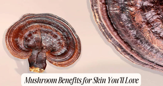 mushroom benefits for skin