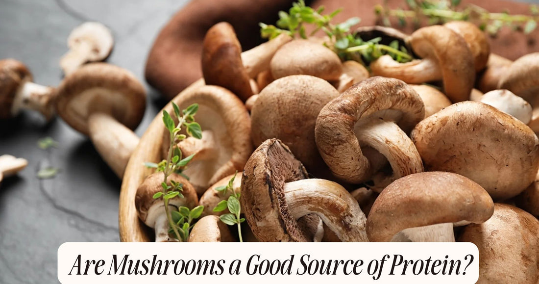 are mushrooms a good source of protein