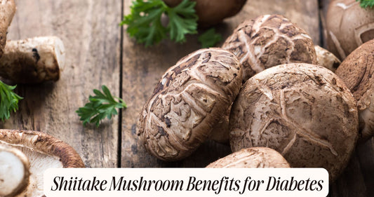 shiitake mushroom diabetes