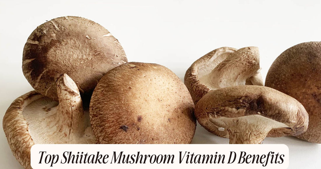 shiitake mushroom vitamin d