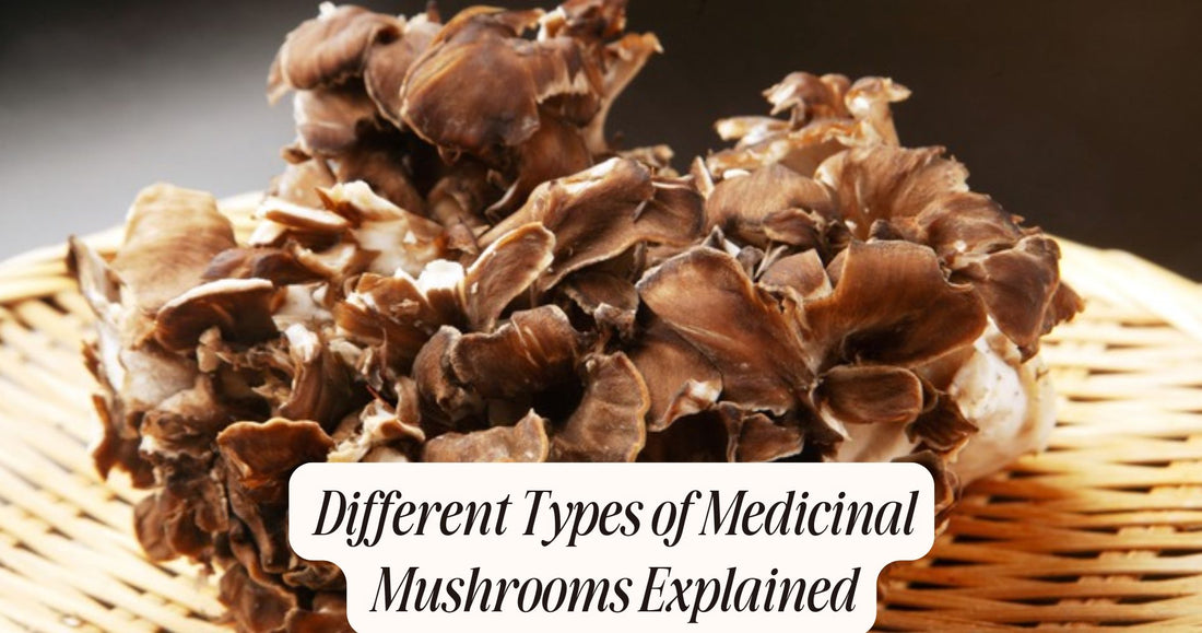 types of medicinal mushrooms