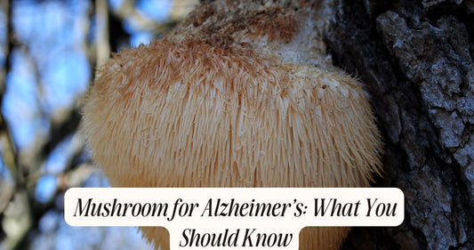 mushroom for alzhhiemers