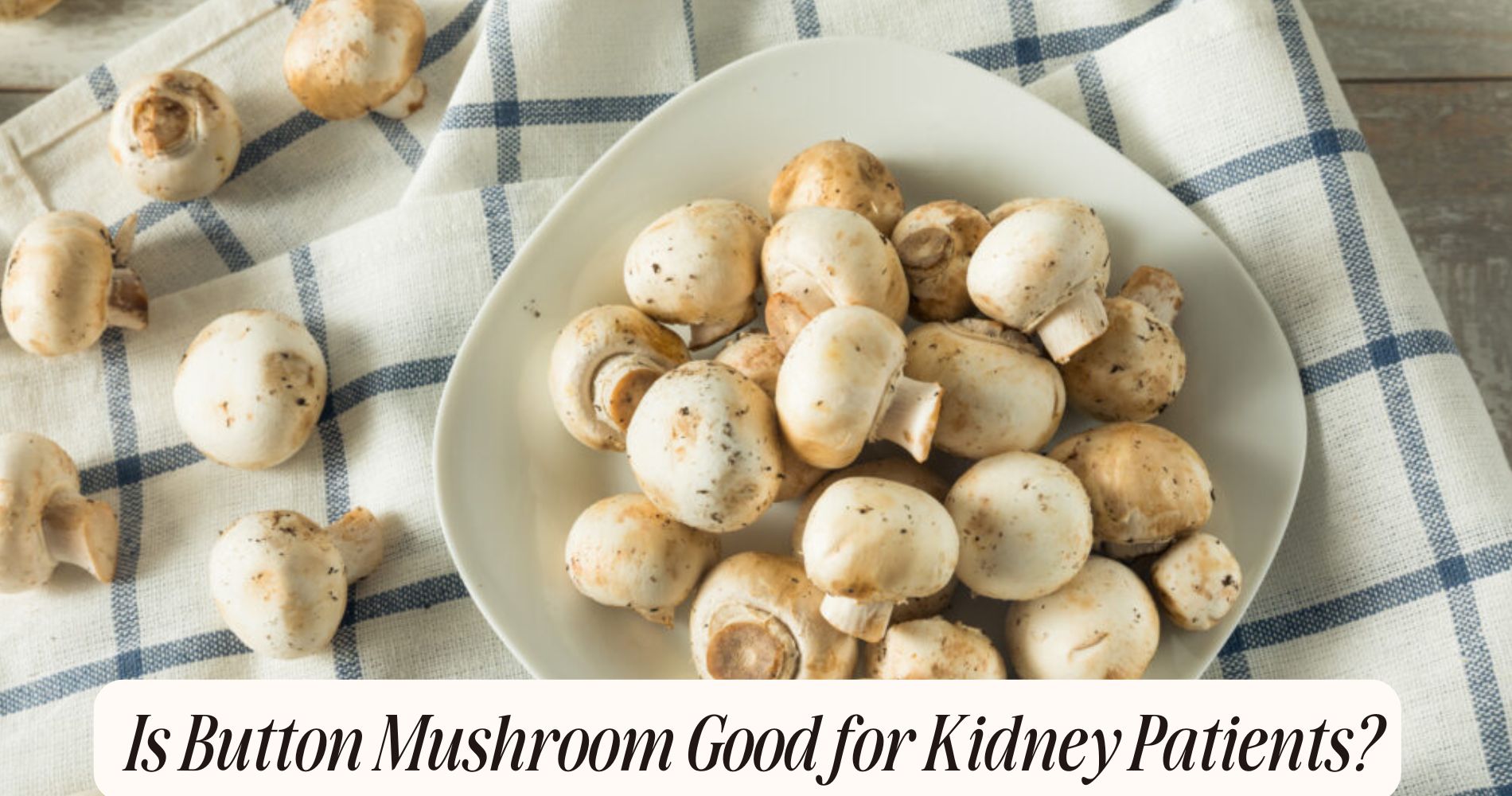 is button mushroom good for kidney patients