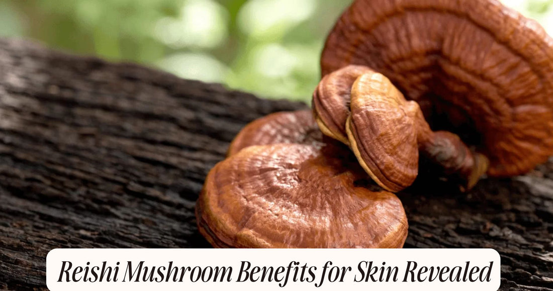 reishi mushroom benefits for skin