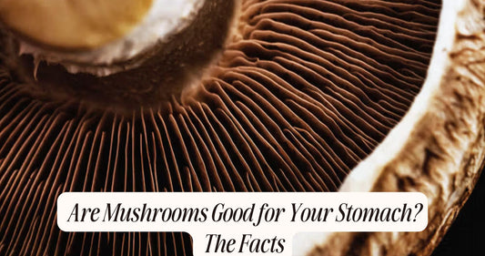 are mushrooms good for your stomach