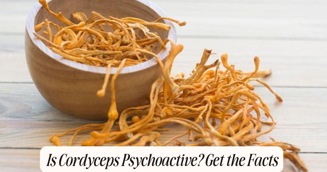 is cordyceps psychoactive