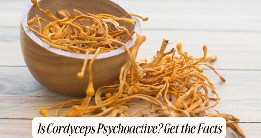 is cordyceps psychoactive