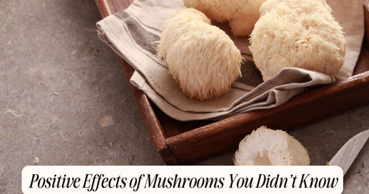 positive effects of mushrooms