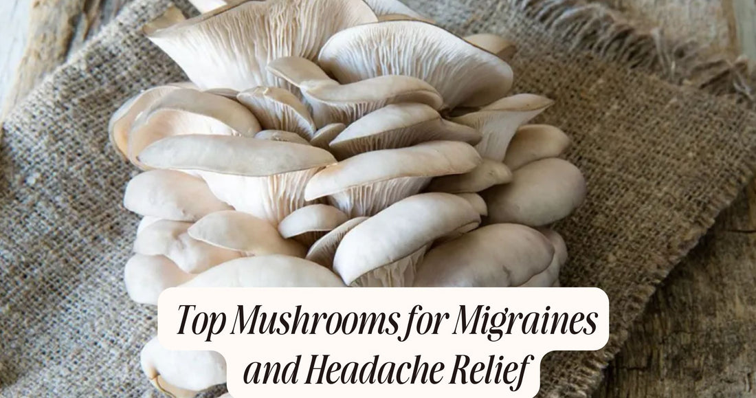 mushrooms for migraines