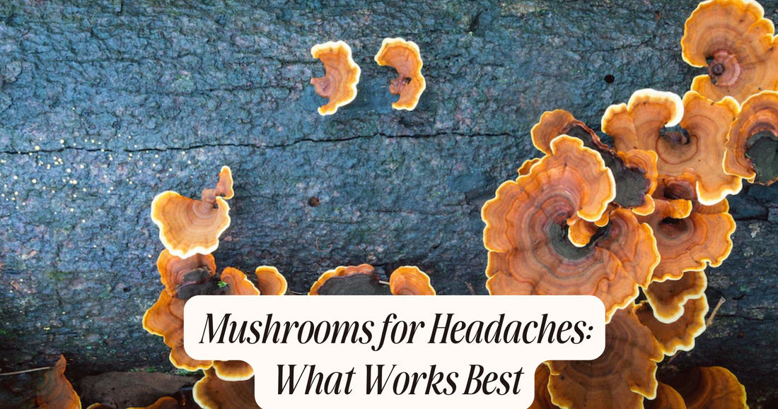 mushrooms for headaches