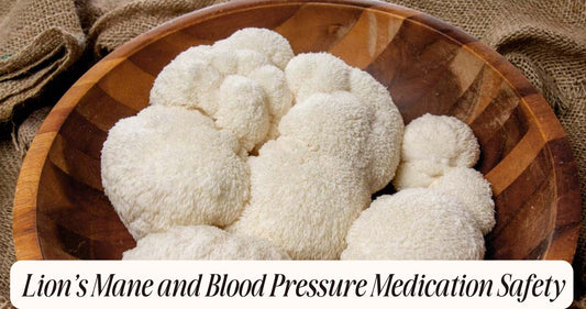 lions mane and blood pressure medication