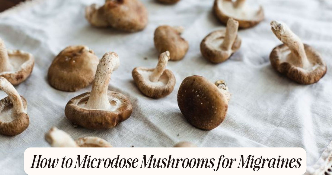 how to microdose mushrooms for migraines