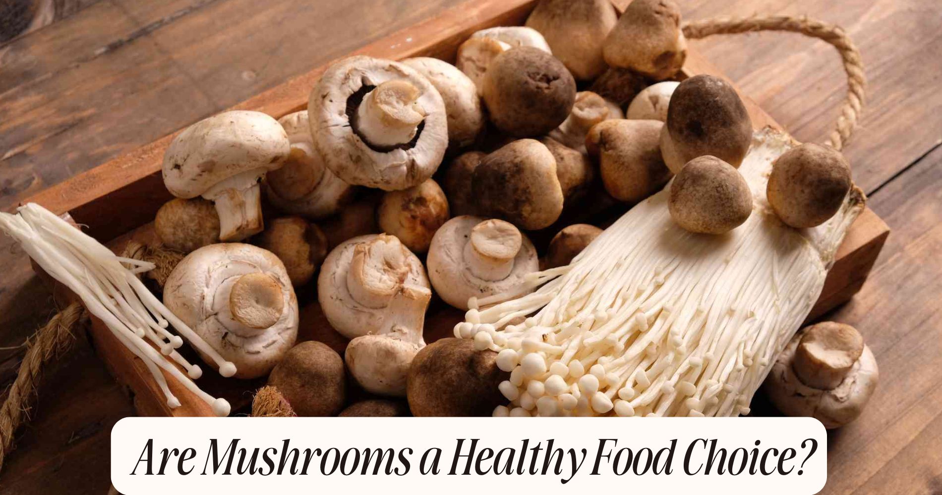 are mushrooms healthy food