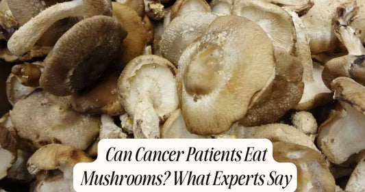 can cancer patient eat mushroom