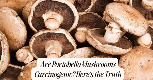 are portobello mushrooms carcinogenic