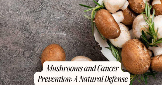 mushrooms and cancer prevention