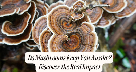 do mushrooms keep you awake