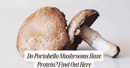 do portobello mushrooms have protein